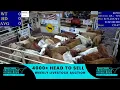 2023 - Beaver County Stockyards Livestock Auction