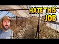 Download Lagu The WORST Farm Job: Greenhouse Cleanout After Tomatoes