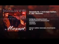 Serenade No. 7 in D major Haffner, K. 250 - Menuetto