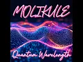 Download Lagu Molikule - Quantum Wavelength (Full Album)