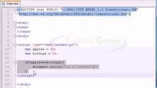 JavaScript Tutorial - if Statement