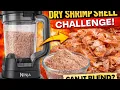 Lagu Unboxing the Ninja Detect™️ Blender \u0026 Grinding DRY Shrimp Shells Immediately! #ninjablender 