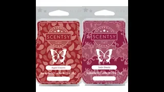 Tester Tuesday - Apple S mores Satin Sheets Scentsy