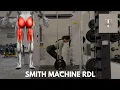 Smith Machine RDL