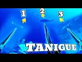 Download Lagu TANIGUE HUNTING MUNA MGA KA SPEARO🐟🇵🇭||GABBY RAMAL