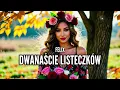 Lagu Felix - Dwanaście listeczków