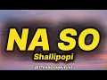 Shallipopi - Na So (lyrics)