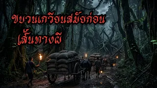 รวมเรื่องเล่าขบวนเกวียน ในดงผีป่า #เล่าเรื่อง #เล่าเรื่องผี 