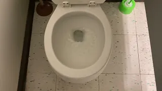 4 320 Rite Aid Women s Restroom