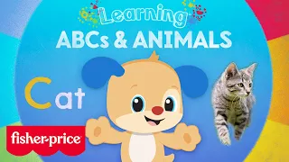 Go on an Animal Alphabet Adventure! | Fisher-Price Learning | Learn the ABCs