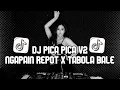 Download Lagu DJ TIMUR KE BARAT SELATAN KE UTARA || PICA PICA V2 X TABOLA BALE VIRAL TIKTOK 2025