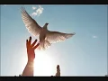 Melhem Barakat - Hamama Bayda