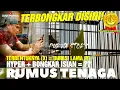 Lagu TERBONGKAR NYATA❗RUMUS BENTUK TENAGA  PENTING🔥JADI CUCAK IJO HYPER,BONGKAR ISIAN TERBENTUKNYA DURASI
