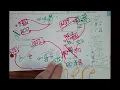 Integrated Math 2 Ch 6 Review