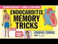 Download Lagu Patofisiologi Endokarditis, tanda dan gejala untuk mahasiswa keperawatan, tinjauan NCLEX