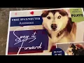 WebXtra Longview animal shelter offers Spay it Forward program
