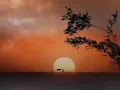 Download Lagu Beautiful Music of Love ❤️🎶💕💗💙 Korg PA4X 🎹🎶💗🎵(Mix Music)🎶💙💙💙