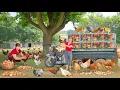 Download Lagu TIMELAPSE -- Harvest 1000+ Many Giant Chicken, Use 3-Wheeled Truck Transport Go to Market Sell