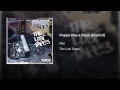 Poppa Was a Playa - Nas