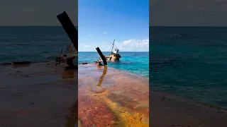 Shipwreck in The Bahamas #sailingfamily #boatlife #familyadventure