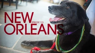 Searching for Gumbo in New Orleans – Van Life 113