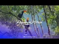 Download Lagu FOMO | Renungan Harian® (Audio)