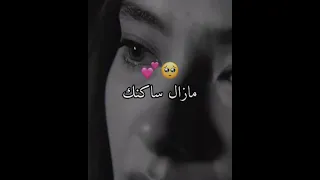 Ya Glbi Khtik Sayi  Ya Glbi Khtik Sayi