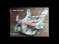 Download Lagu INAP AKAU 20 (TRIAL)