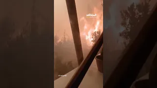                                                                                                      دندنها