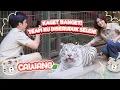Download Lagu (ECA PAWANG) EPS 2 - WOW DIGIGIT SELEN GAK SAKIT?! AKU JADI PAWANG SATWA DI RUMAH KAK ALSHAD!🐯💥🤍✨ 