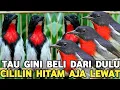 Lagu HARGA 65 RIBUAN || TAU GINI BELI DARI DULU WARNA CANTIK SUARA CANDU CILILIN AJA LEWAT