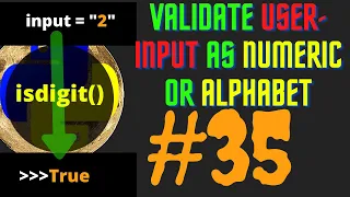 How to check or validate whether user input is string or integer in python by isalpha in urdu
