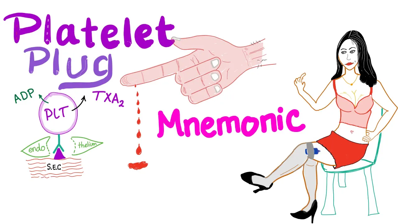 Primary Hemostasis - Platelet Plug & Blood Clot- Mnemonic