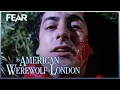 Download Lagu The First Werewolf Attack! | An American Werewolf In London (1981)