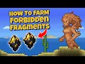 How to farm Forbidden Fragments in Terraria