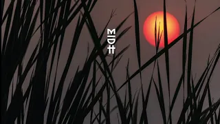 vanco u0026 cee elassaad feat lizwi zamekile kintar remix midh premiere