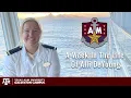 Alli DeYoung A week in the life of a Texas A M Maritime Academy Cadet