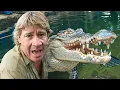 The Real Reason Behind The Crocodile Hunter s Death
