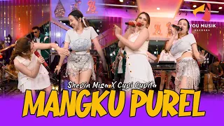 mangku purel shepin misa x cupi cupita ndemek pupu sampai munggah ning semeru viral gunung hot