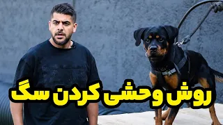 چیکار کنم سگم وحشی بشه آموزش به سگ های نگهبان 