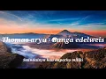 Download Lagu Thomas arya - Bunga Edelweis (Lirik)
