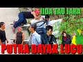 Download Lagu JIDA TAU JARA PUTRA DAYAK LUCU