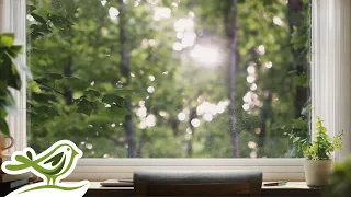 Peder B. Helland - Wednesday | 1 Hour of Relaxing Piano Music