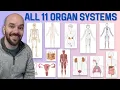 11 Organ Systems of the Human Body Made Easy
