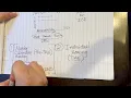 Immigration Court Removal Proceedings Master Hearing and Individual Hearing