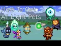 How To Get All Light Pets in Terraria 1 4 4