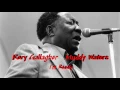 Rory Gallagher - Muddy Waters - I'm Ready