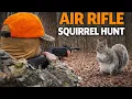 Can the Ruger Air Hawk Elite II Hunt Squirrels
