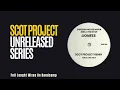 Swedish House Mafia & Niki & The Dove - Lioness - Scot Project Remix (Short Cut)