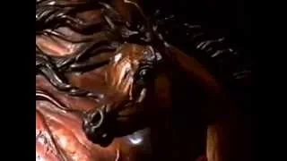 arabian horse type movie